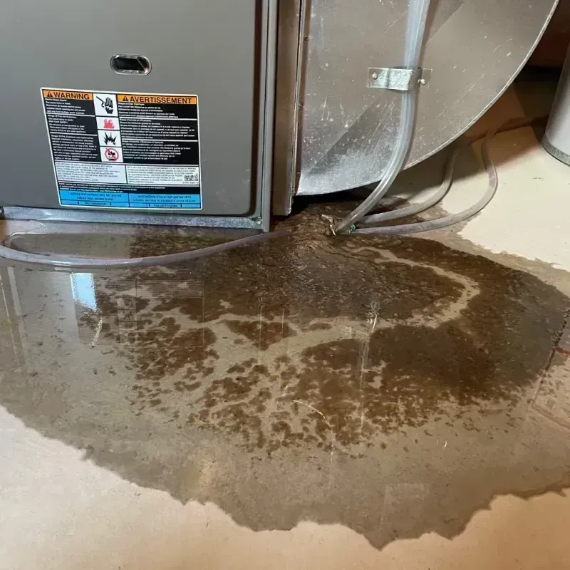 Appliance Leak Cleanup in Assumption, IL